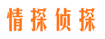 城中市侦探调查公司